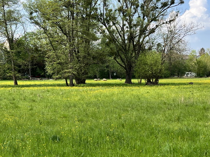 22-05-02 13-34-24 0725